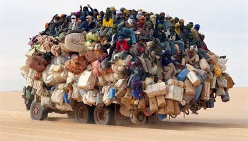 Overpopulation