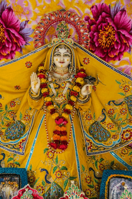 vrinda devi