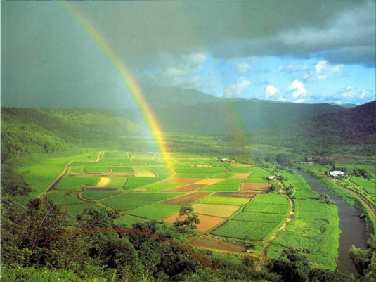 Farmland