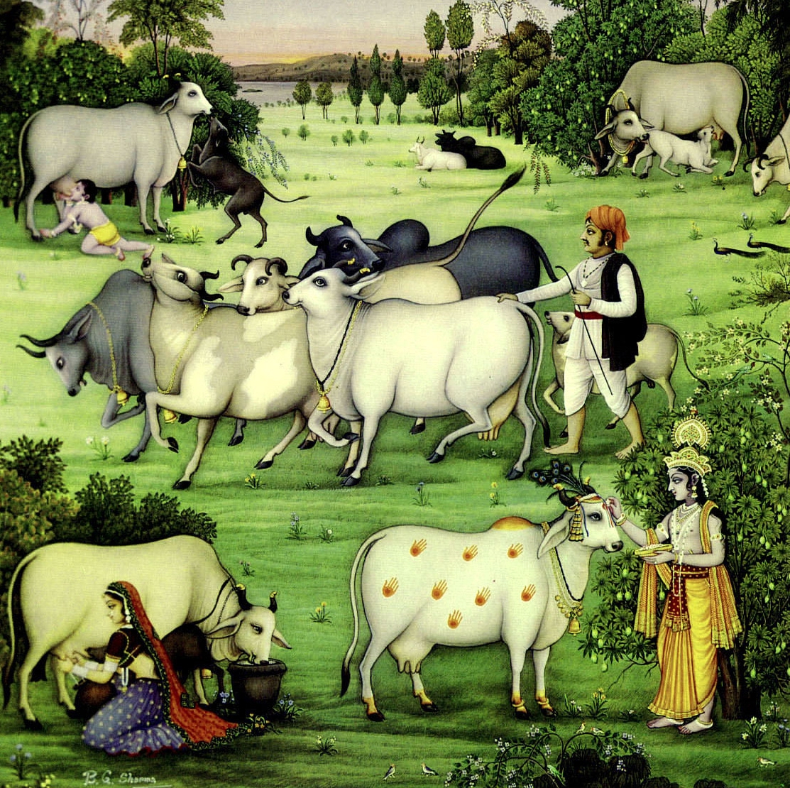 Sri Krsna in Vrndavana