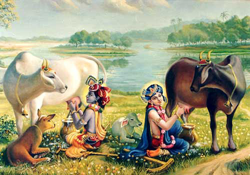Krsna and Balarama with Cows